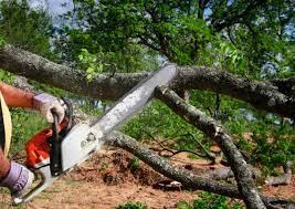 Landscape Design and Installation in Huntington, VA